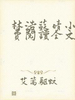 林浩苏晴小说免费阅读全文最新章节