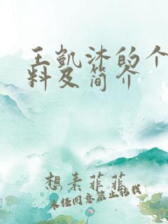 王凯沐的个人资料及简介