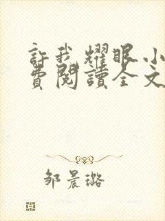 许我耀眼小说免费阅读全文最新章节