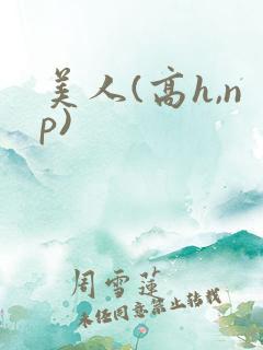 美人(高h,np)