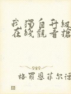 我独自升级动漫在线观看抢先版