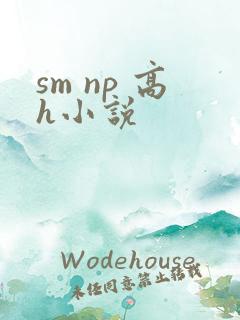 sm np 高h小说