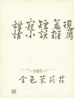 甜宠短篇现代言情小说推荐