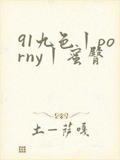 91九色丨porny丨蜜臀