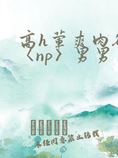 高h荤爽肉欲文〈np〉男男