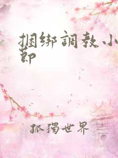 捆绑调教小说章节