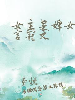 女主是婢女的古言宠文