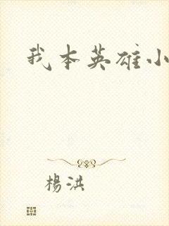 我本英雄小说