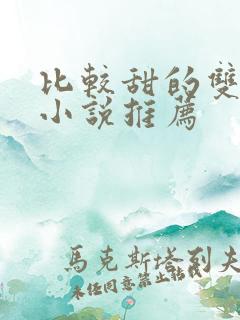 比较甜的双男主小说推荐