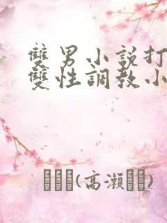 双男小说打屁股双性调教小妈文学