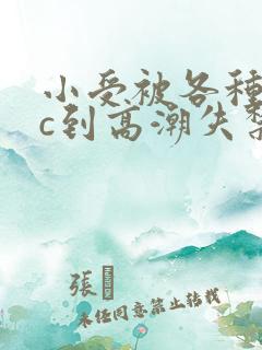 小受被各种姿势c到高潮失禁的小说