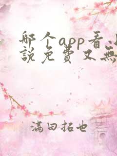 哪个app看小说免费又无广告