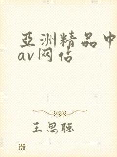 亚洲精品中文网av网站