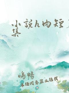 小说h肉短篇合集