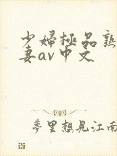 少妇极品熟妇人妻av中文