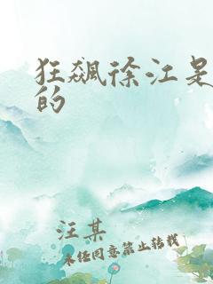 狂飙徐江是谁杀的