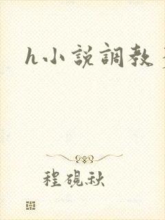h小说调教多人