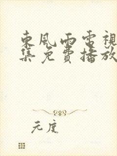 东风雨电视剧全集免费播放