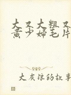 大又大粗又爽又黄少妇毛片口