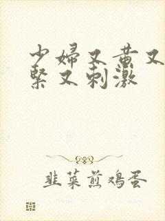 少妇又黄又爽又紧又刺激