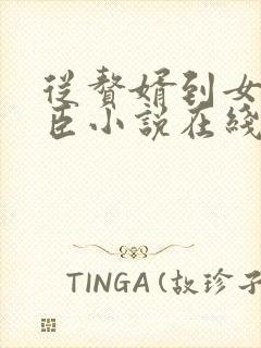 从赘婿到女帝宠臣小说在线收听