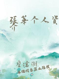 张华个人资料简介