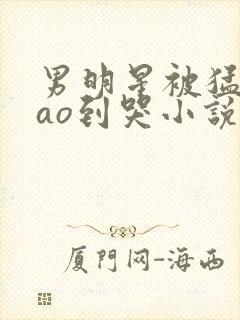 男明星被猛男cao到哭小说