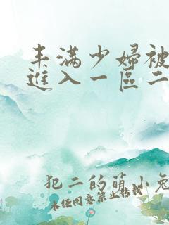 丰满少妇被猛烈进入一区二区