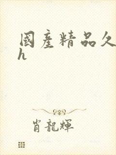 国产精品久久久h