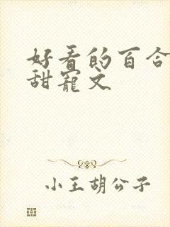 好看的百合小说甜宠文