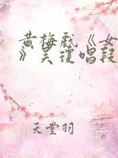 黄梅戏《女驸马》吴琼唱段