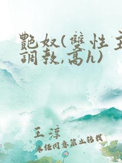 艳奴(双性主奴调教,高h)