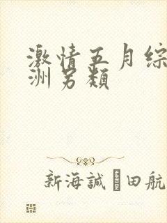 激情五月综合亚洲另类