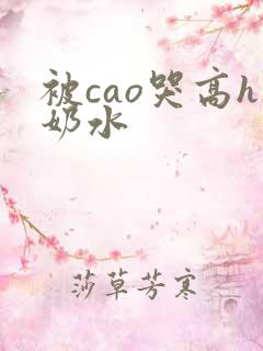 被cao哭高h奶水