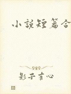 小说短篇合集h