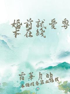 婚前试爱粤语版本在线