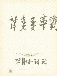 好爽又高潮的毛片免费下载