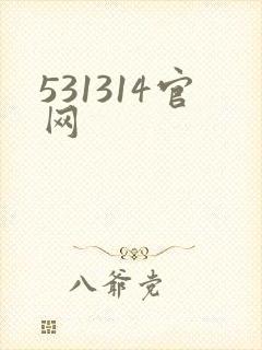 531314官网