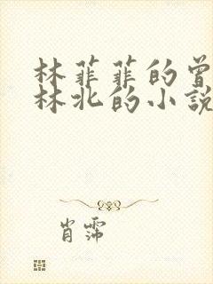 林菲菲的曾祖叫林北的小说