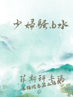 少妇骚.b水多