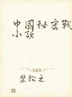 中国秘密战原著小说