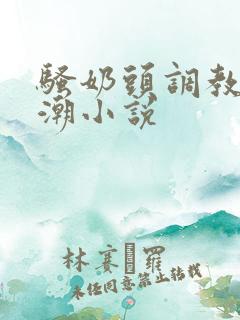 骚奶头调教h高潮小说