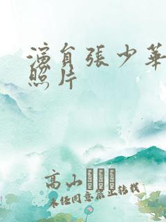 演员张少华年轻照片