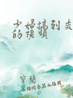 少妇搞到爽高潮的视频