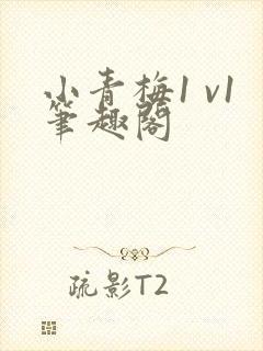 小青梅1 v1笔趣阁