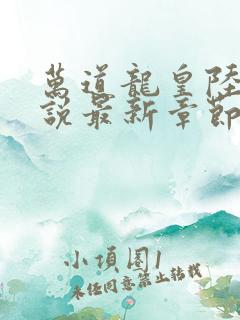 万道龙皇陆鸣小说最新章节