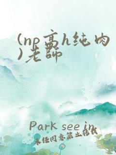 (np高h纯肉)老师