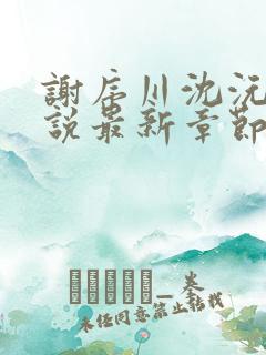 谢序川沈沅珠小说最新章节免费阅读