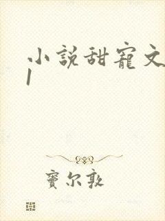 小说甜宠文1v1