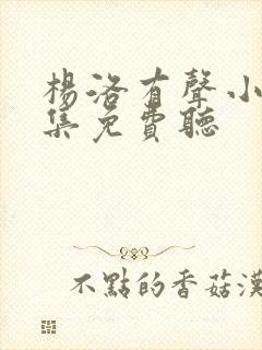 杨洛有声小说全集免费听